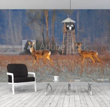 Bild på Deer in winter  morning and hunting tower in background